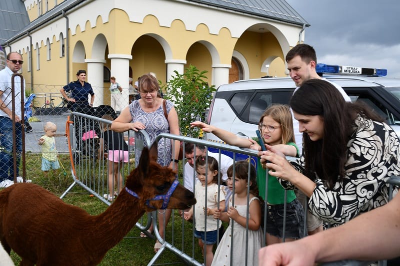 Spotkajmy się u Św. Kingi