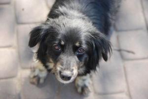 363051495 294626863067888 2357227188999887832 n