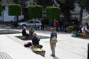 DSC 1664-Copy