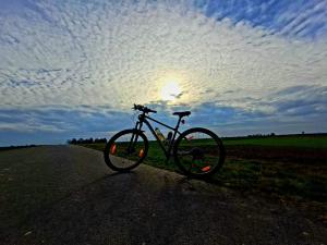 432627480 7251108581610519 4824306993138764369 n