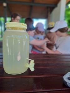 440756944 1167543231107318 997529782339674409 n