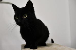 DSC 6676