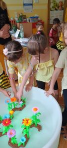 IMG20250529112913