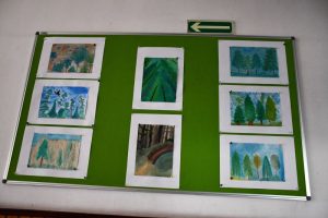 DSC 5544