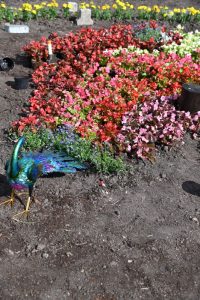 image003